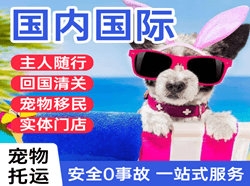 宜春明月山机场快递国际宠物托运 【国